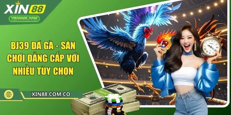 bj39 đá gà sân chơi đẳng cấp với nhiều tuỳ chọn